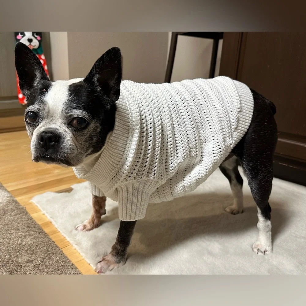 Gap Dog Sweater - NWT